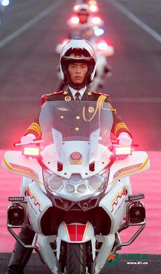 国宾护卫队礼服肩章，荣耀与责任的象征，国宾护卫队礼服肩章，荣耀与责任的标志