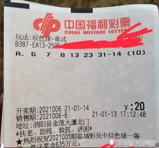 香港六合彩开奖结果及今晚开奖记录分析，香港六合彩开奖结果及今晚开奖记录深度解析