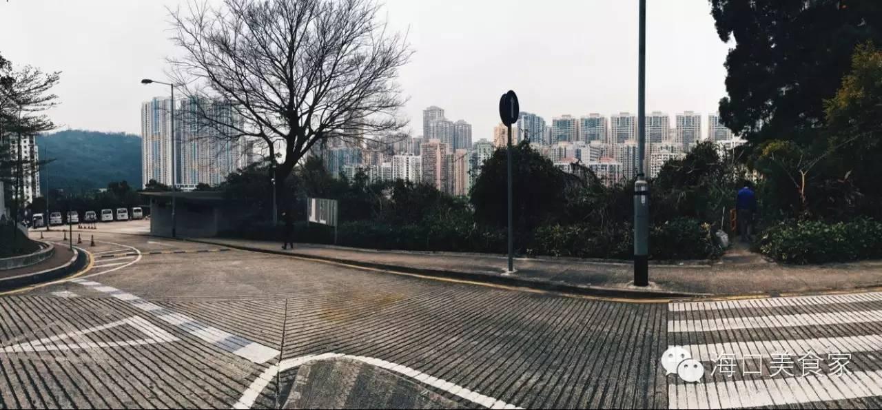 澳门一肖中100%期期准海南特区号——揭秘彩票背后的秘密，澳门彩票秘密揭秘，一肖中100%期期准与海南特区号的真相探索