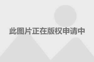 揭秘长剑-10巡航导弹，价格及其背后的科技力量，揭秘长剑-10巡航导弹，价格与背后的科技实力探究
