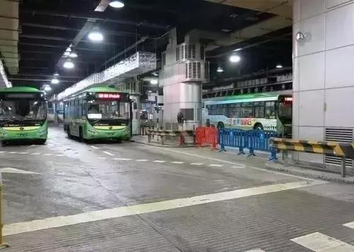 澳门六开奖第239期结果及其影响，澳门第239期六开奖结果及其后续影响分析