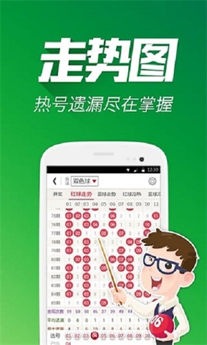 高手贴平特一肖王中王——探寻技艺之巅，技艺之巅，高手贴平特一肖王中王探索之旅