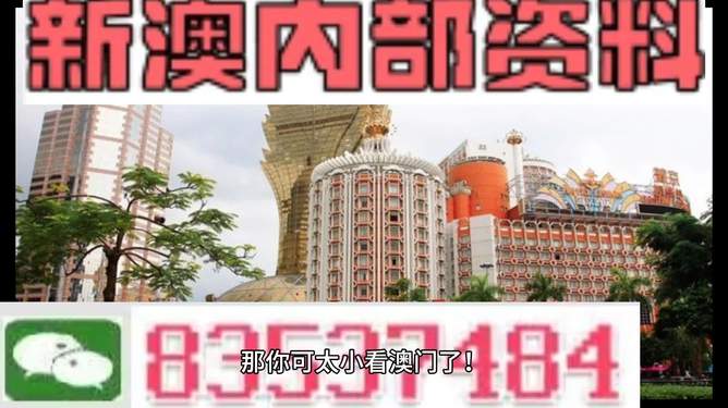 新澳门内部免费资料精准大全，探索与解析，澳门内部资料精准探索与解析大全