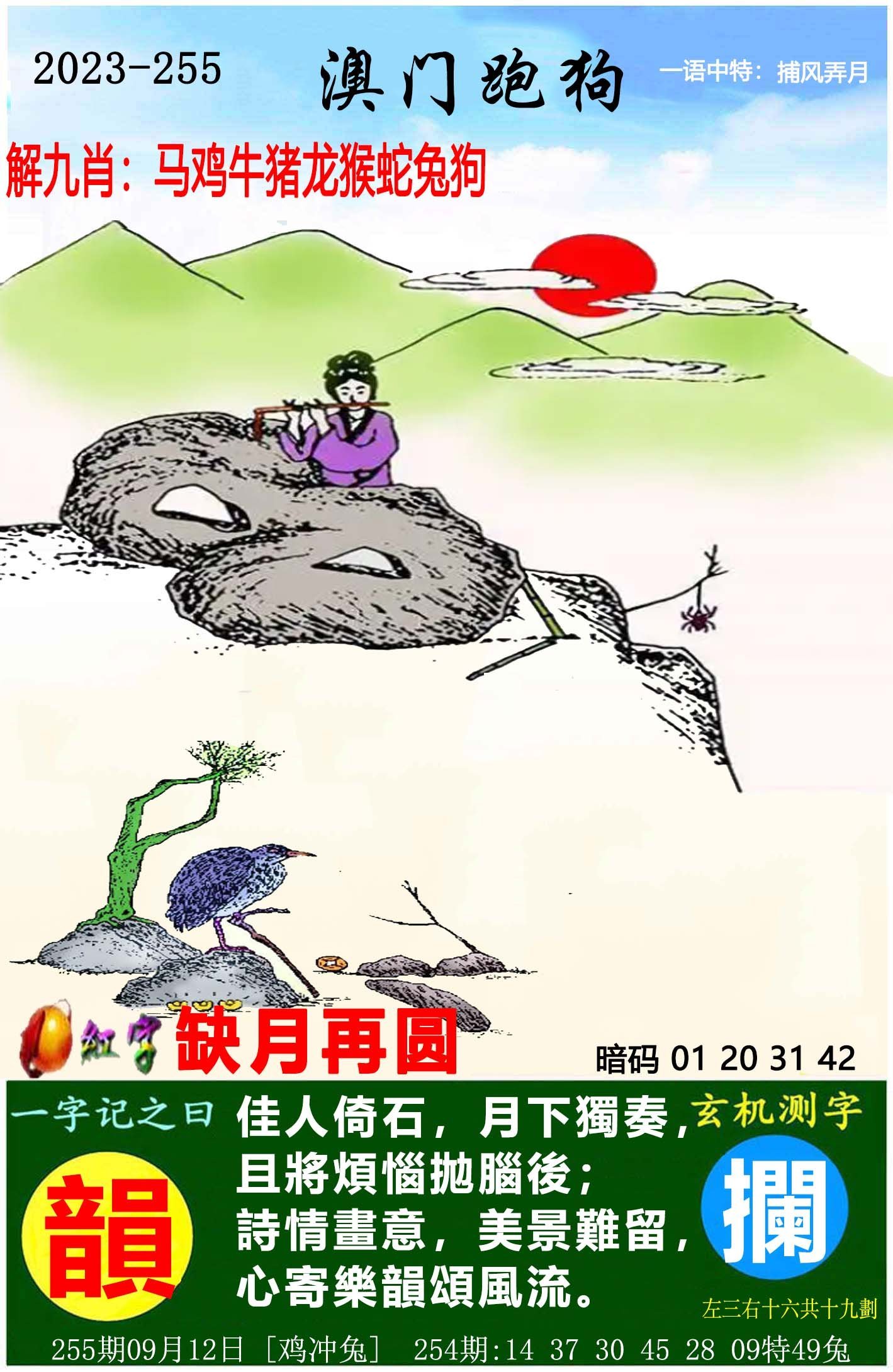 探索新澳门未来，2025年天天开好彩的澳门49展望，澳门未来展望，探索新澳门与2025年天天开好彩的澳门49展望