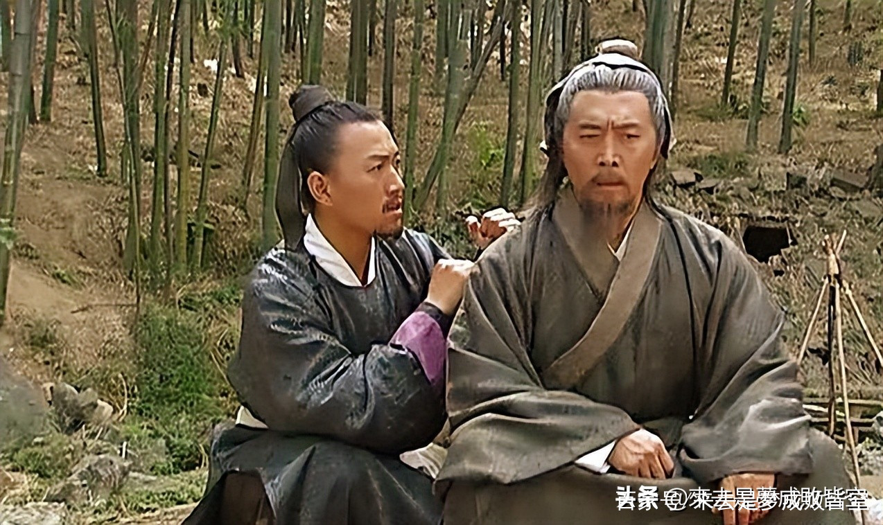 王中王刘伯温资料一肖中解析，刘伯温资料解析，揭秘王中王一肖之谜