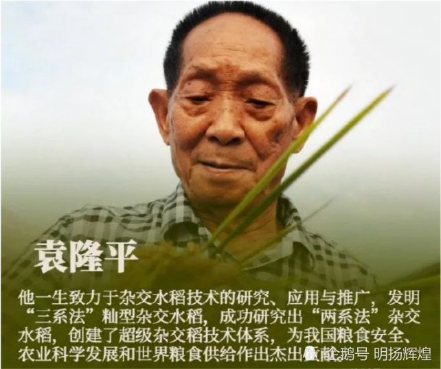 致敬英雄