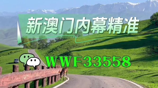 探索未来，2025新澳门精准免费大全展望，探索未来篇章，2025新澳门精准展望