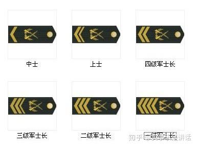 深度解读2020年部队士官改革，重塑军事职业体系的关键举措，深度解读2020年部队士官改革，重塑军事职业体系的关键所在