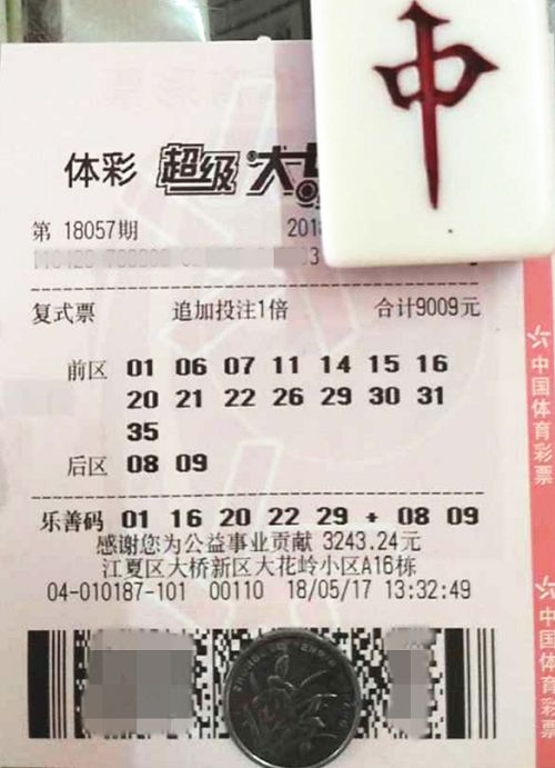 澳门六开彩天天开奖结果查询，探索与解析，澳门六开彩天天开奖结果查询，深度探索与解析