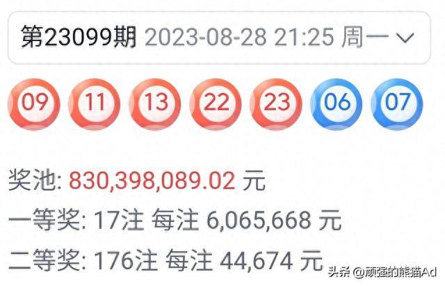 王中王100期期准一肖，揭秘彩票背后的秘密与策略探讨，揭秘彩票背后的秘密与策略探讨，王中王精准预测一肖一码