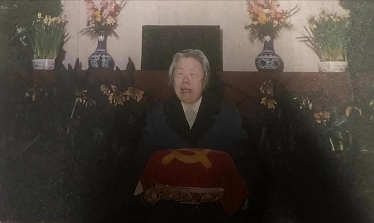 高振普，一位引领时代的杰出人物，高振普，时代引领者的杰出典范