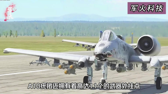 揭秘A-10宠猪攻击机，空中力量的独特支柱，揭秘A-10宠猪攻击机，空中力量的独特支柱