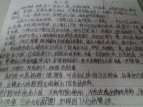 长津湖战役，大学生眼中的历史深度与个人体会，长津湖战役，大学生视角下的历史深度与个人感悟