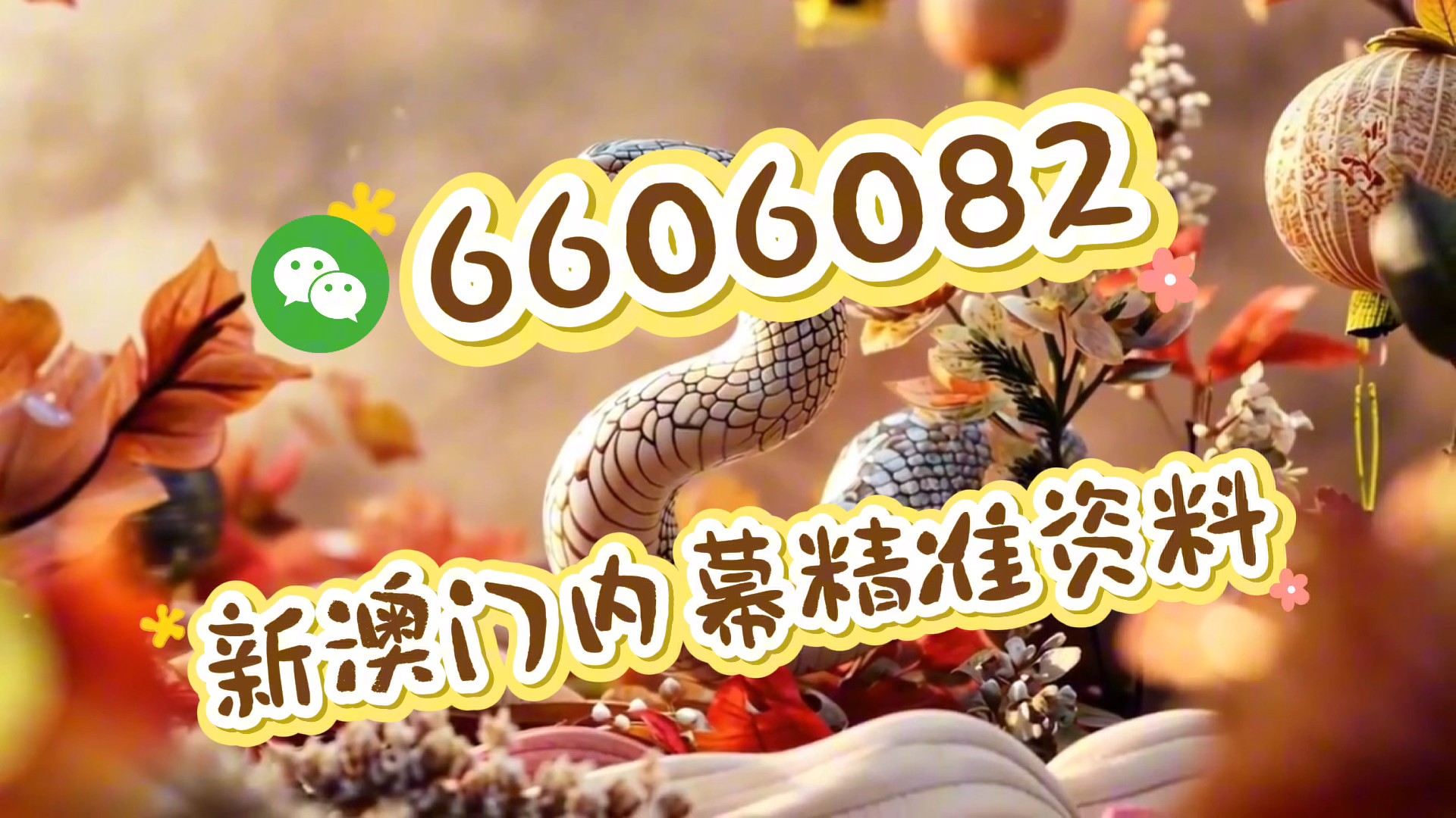 探索未来，澳门精准资讯在2025年的展望，澳门精准资讯展望2025，探索未来之路