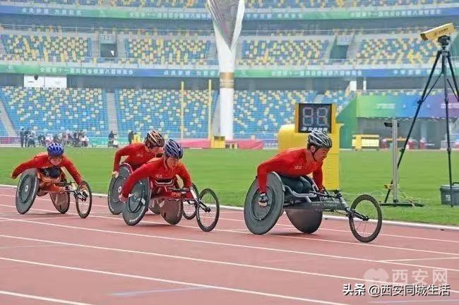 探索澳门正版免费资本车，未来的交通出行新模式，澳门正版免费资本车，未来交通出行的新模式探索