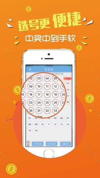 数字背后的故事探索