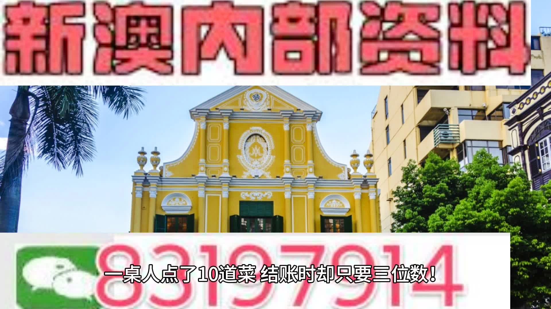 新澳门天天精准免费大全谜，澳门天天精准免费大全谜解析