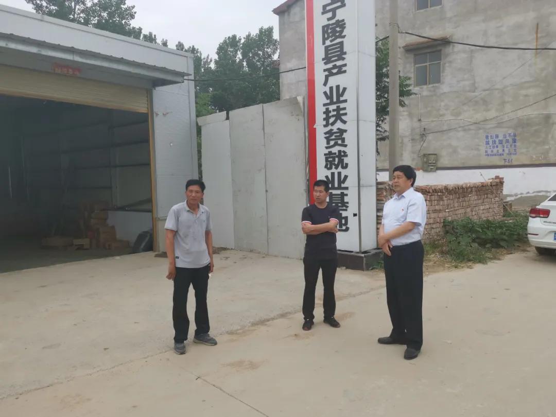 今天是工作日吗？——探究工作日的意义与我们的生活，工作日的意义与我们的生活探究，今日是否为工作日？
