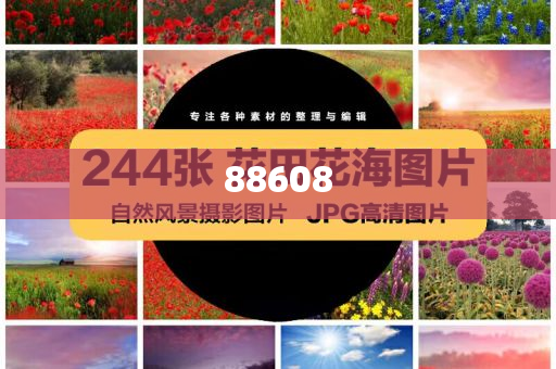 迈向信息公平，2025正版资料的免费公开时代来临，迈向信息公平，正版资料免费公开时代来临（2025）