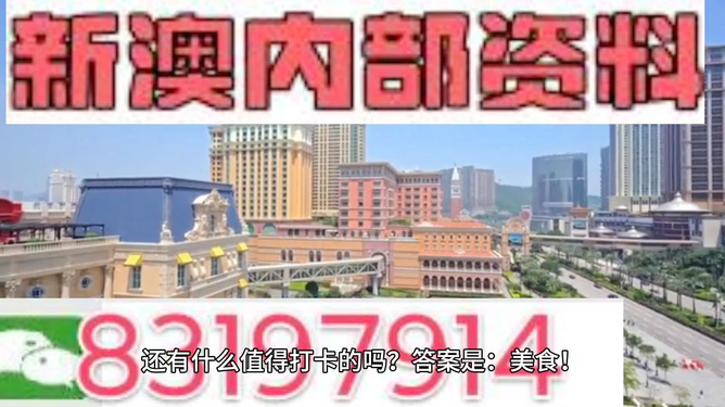 新澳门正版精准免费大全，探索与体验，澳门正版精准免费大全，探索与体验之旅