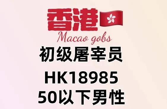 WW777766香港开奖结果，探索彩票背后的故事，WW777766香港彩票开奖背后的故事揭秘