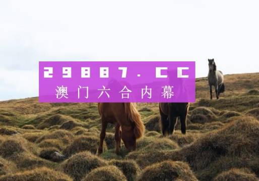 澳门彩的开奖结果，探索与期待，澳门彩开奖结果揭秘，探索与期待