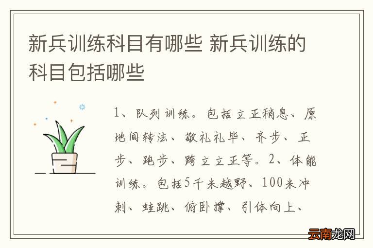 参军训练的项目与深度解析，参军训练项目深度解析与探讨