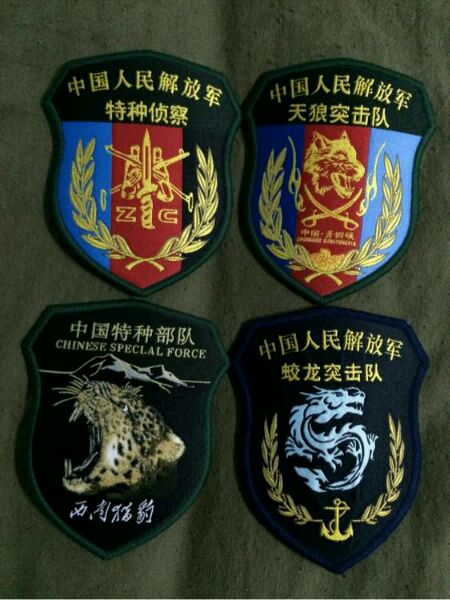 蛟龙突击队肩章，荣耀与责任的象征，蛟龙突击队肩章，荣耀与责任的标志