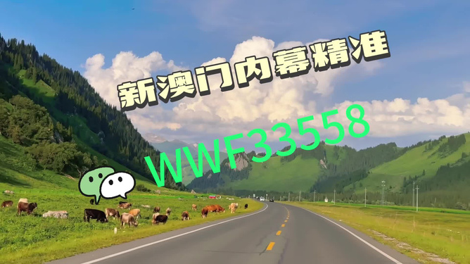 王中王一肖一马