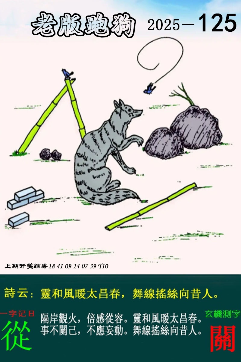 澳门2025年四不像正版资料深度解析，澳门2025年四不像正版资料深度解读与解析
