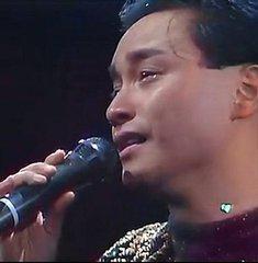 歼八II模型，探索中国航空的杰出代表，歼八II模型，中国航空的杰出代表探索之旅