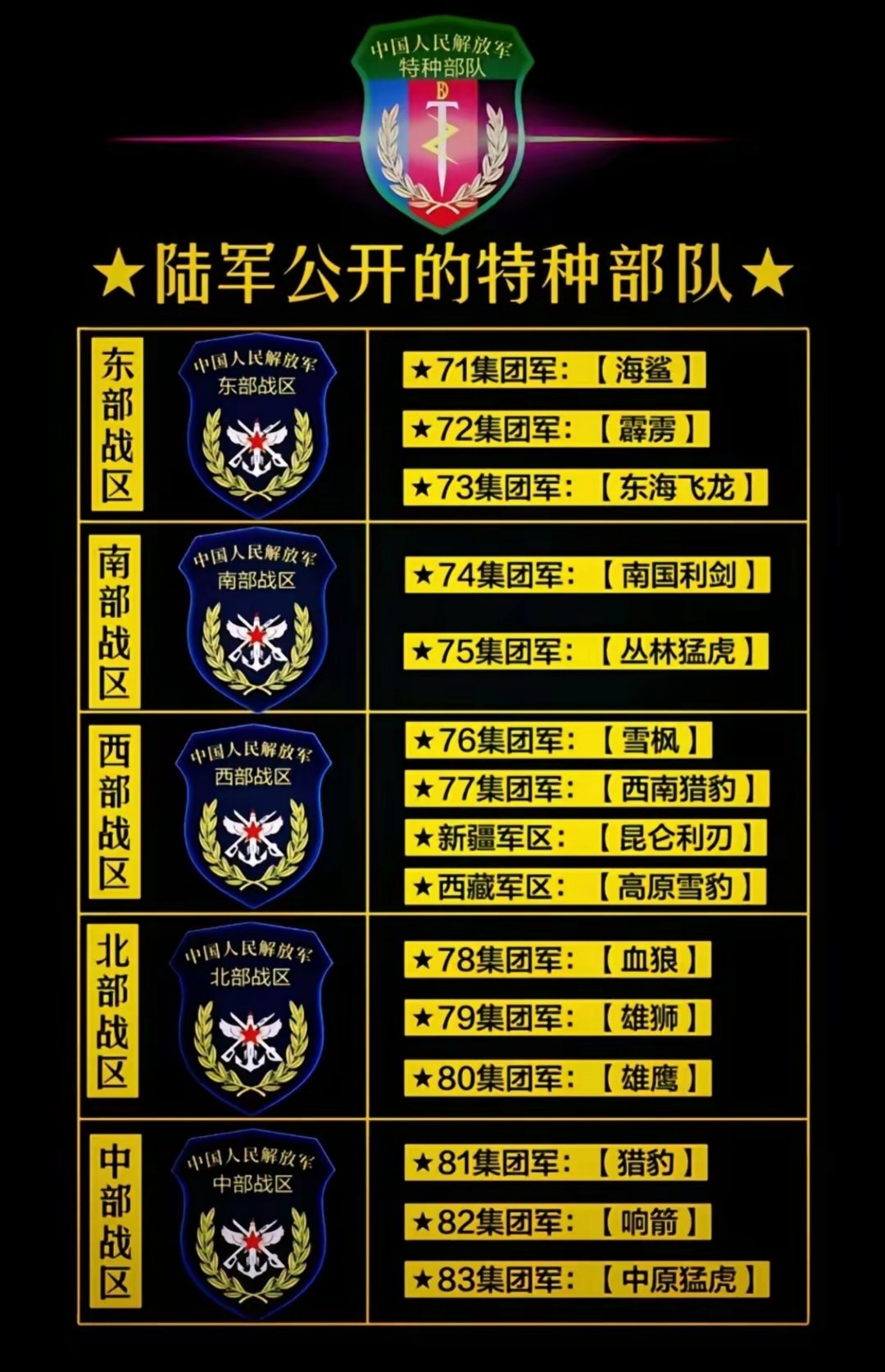 中国特种部队排名，雷神突击队之荣耀与实力，中国特种部队排名揭秘，雷神突击队的荣耀与实力之巅