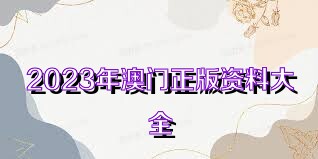澳门正版资料完整版，探索与发现之旅（2025年展望），澳门正版资料完整版，探索与发现之旅的展望（2025）