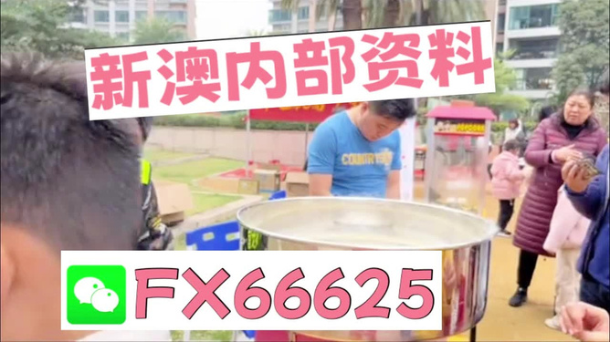 澳门正版免费全年资料大全旅游团，探索澳门魅力的绝佳选择，澳门正版全年旅游资料大全，探索澳门魅力的旅游团首选