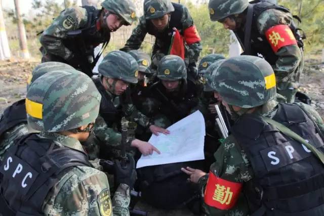 中国人民武装警察部队特种警察学院图片展示与解析，中国人民武装警察部队特种警察学院图片展示及深度解析
