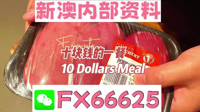 新澳精准正版资料免费，探索与解读，新澳正版资料探索与解读，免费精准信息一览