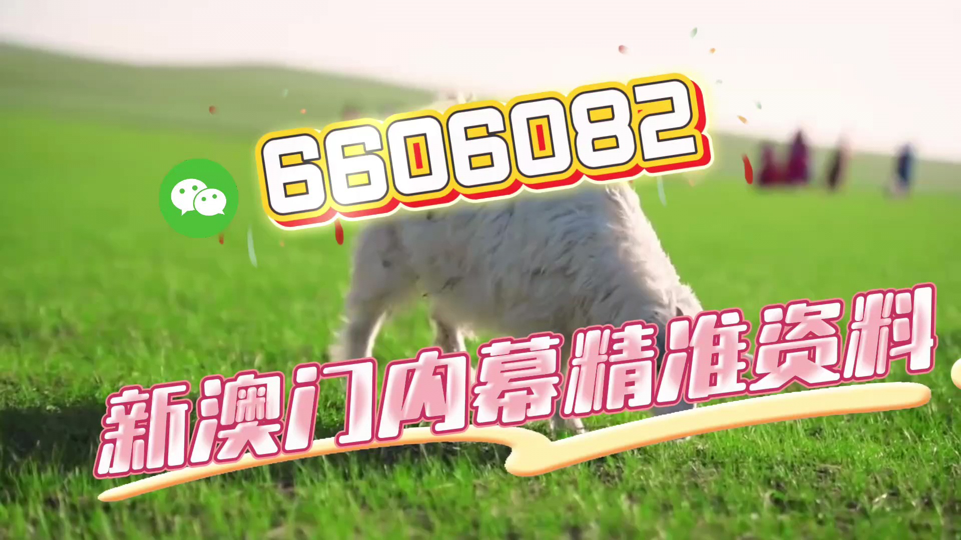 揭秘四肖八码精准资料，期期准澳之秘，揭秘四肖八码精准资料，期期准确的澳之秘大揭秘