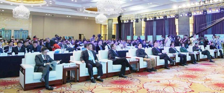 凤凰网新闻播报，揭示新闻真相的力量，凤凰网新闻播报，揭示真相的力量无界