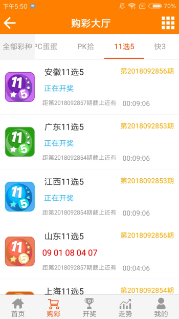 王中王一肖中特4487，探寻独特魅力与卓越价值，探寻王中王一肖中特4487的独特魅力与卓越价值