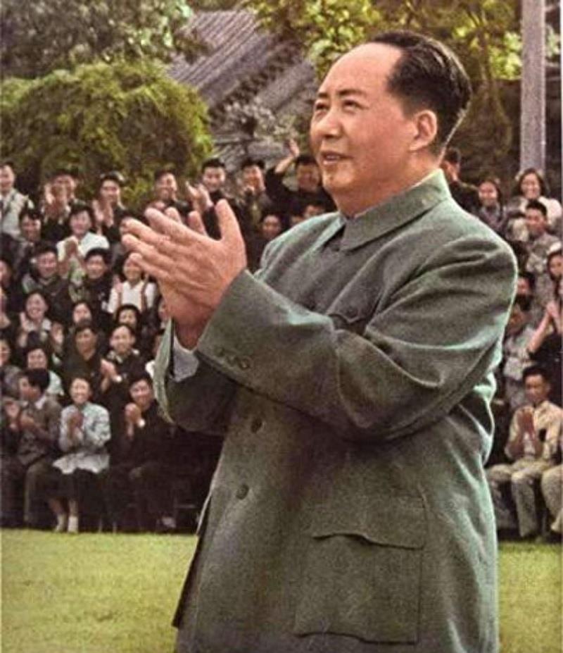 关于816工程叫停原因深度解析，816工程叫停原因深度解析