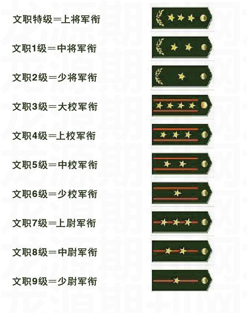 表格详解/全面解析
