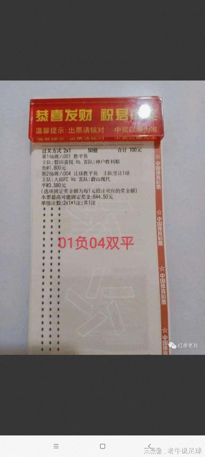 关于中一肖赔多少的深度解析，中一肖赔多少的深度解析与探讨